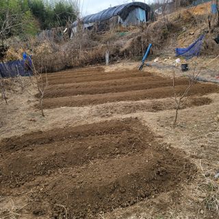 이창화님의 기타작물 · 자유게시판 작성글 사진