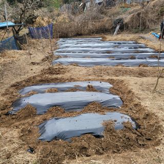 이창화님의 기타작물 · 자유게시판 작성글 사진