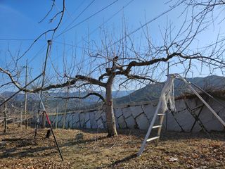 또바기사과(이훈희)님의 자유주제 · 자유게시판 작성글 사진