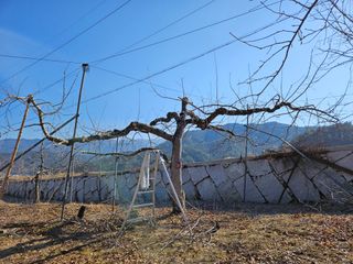 또바기사과(이훈희)님의 자유주제 · 자유게시판 작성글 사진