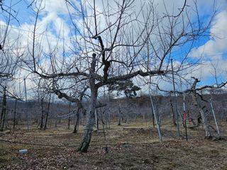 또바기사과(이훈희)님의 자유주제 · 자유게시판 작성글 사진