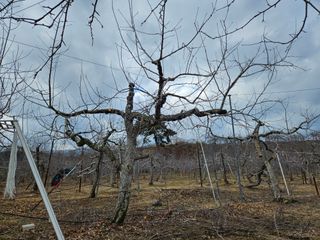 또바기사과(이훈희)님의 자유주제 · 자유게시판 작성글 사진