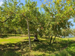 또바기사과(이훈희)님의 자유주제 · 자유게시판 작성글 사진