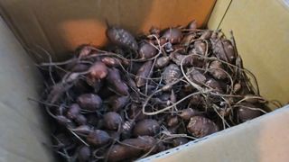 종합선물세트님의 자유주제 · 자유게시판 작성글 사진