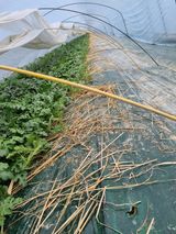 믿고사는농원-송미경님의 함께 일하는 동료는 몇명인가요?·참여글 작성글 사진