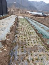 팜모닝 자유주제·자유게시판 게시글 이미지