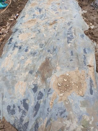 김옥자님의 자유주제 · 자유게시판 작성글 사진