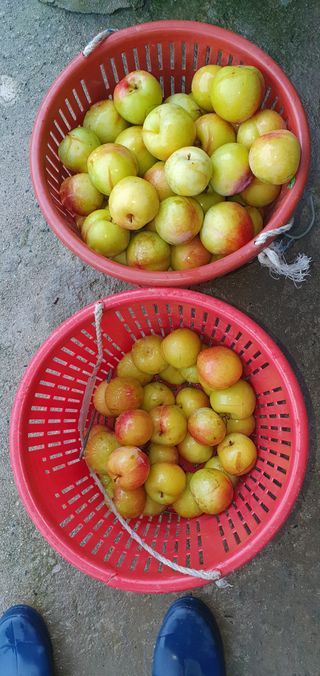 김태권님의 팜모닝 · 출석 작성글 사진