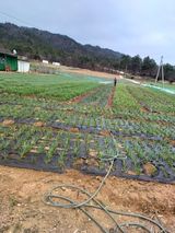 결단이님의 함께 일하는 동료는 몇명인가요?·참여글 작성글 사진