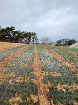 결단이님의 함께 일하는 동료는 몇명인가요?·참여글 작성글 사진