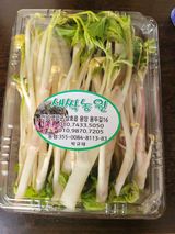 팜모닝 · 게시글 이미지