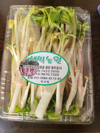 오아성님의 작성글 사진