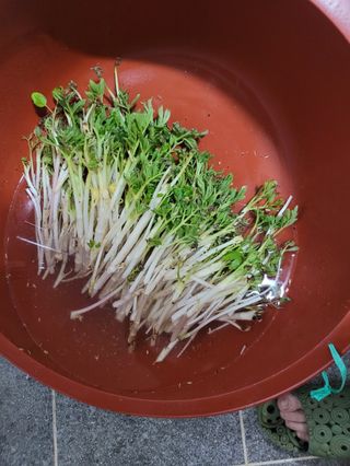 오아성님의 작성글 사진