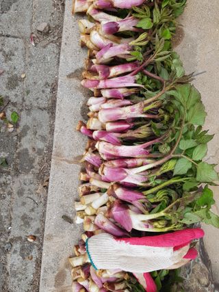 오아성님의 작성글 사진