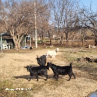 이천산수유님의 함께 일하는 동료는 몇명인가요?·참여글 작성글 사진