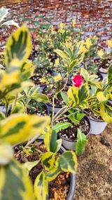 이후성님의 함께 일하는 동료는 몇명인가요?·참여글 작성글 사진