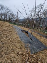 팜모닝 함께 일하는 동료는 몇명인가요?·참여글 게시글 이미지