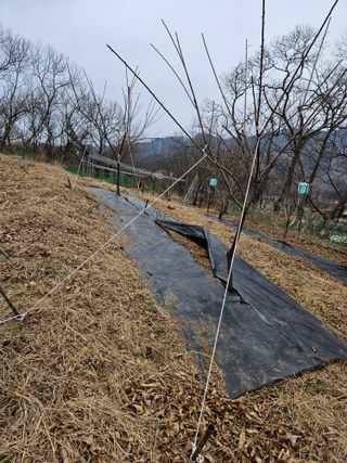 지리산호야님의 함께 일하는 동료는 몇명인가요?·참여글 작성글 사진