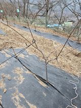 지리산호야님의 함께 일하는 동료는 몇명인가요?·참여글 작성글 사진