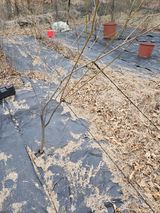 지리산호야님의 함께 일하는 동료는 몇명인가요?·참여글 작성글 사진