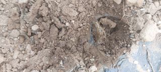 이형모님의 함께 일하는 동료는 몇명인가요? · 참여글 작성글 사진