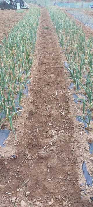 이형모님의 함께 일하는 동료는 몇명인가요? · 참여글 작성글 사진