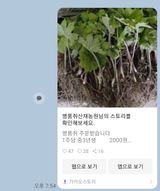 병풍취산채농원님의 두릅·삽목•정식 작성글 사진