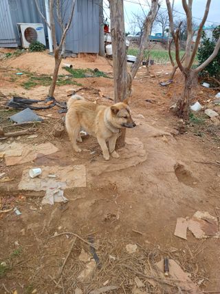 결단이님의 함께 일하는 동료는 몇명인가요? · 참여글 작성글 사진
