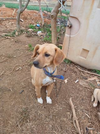 결단이님의 함께 일하는 동료는 몇명인가요? · 참여글 작성글 사진