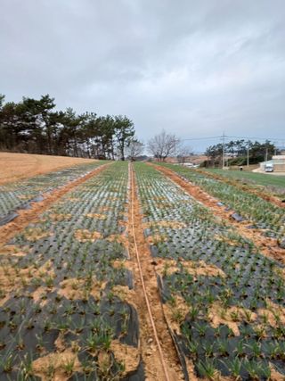 결단이님의 함께 일하는 동료는 몇명인가요? · 참여글 작성글 사진