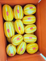 팜모닝 팜모닝·출석 게시글 이미지