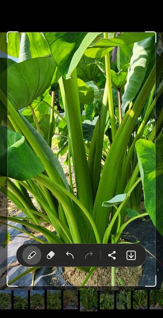 박동현님의 작성글 사진