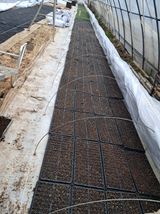 팜모닝 호박·자유게시판 게시글 이미지