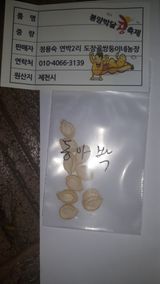 팜모닝 자유주제·칭찬해요 게시글 이미지