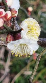 팜모닝 자유주제·자유게시판 게시글 이미지