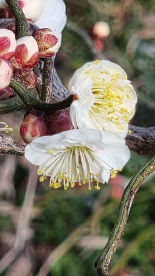 푸른꿈님의 자유주제 · 자유게시판 작성글 사진
