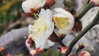 푸른꿈님의 자유주제 · 자유게시판 작성글 사진