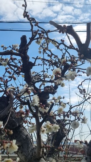 푸른꿈님의 자유주제 · 자유게시판 작성글 사진