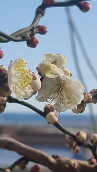 푸른꿈님의 자유주제 · 자유게시판 작성글 사진