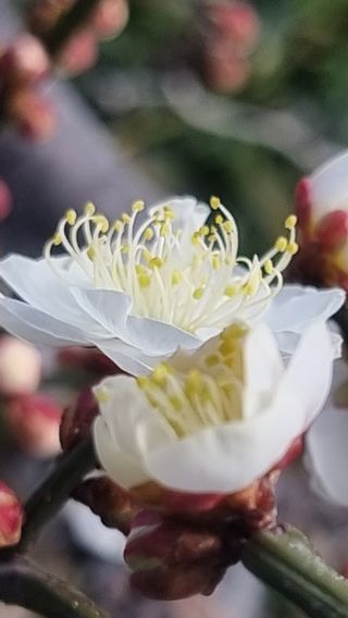 푸른꿈님의 자유주제 · 자유게시판 작성글 사진