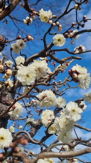 푸른꿈님의 자유주제 · 자유게시판 작성글 사진