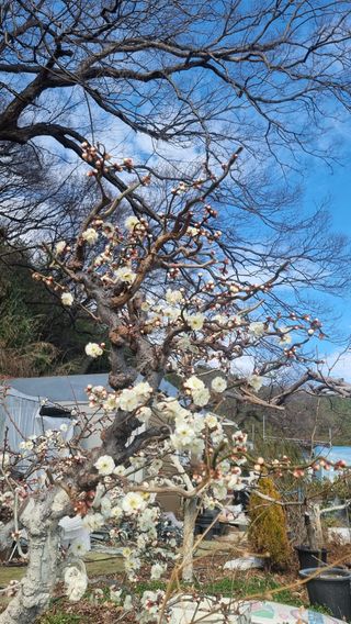 푸른꿈님의 자유주제 · 자유게시판 작성글 사진