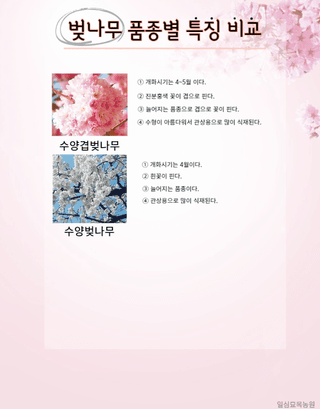 일심묘목농원님의 기타작물 · 자유게시판 작성글 사진