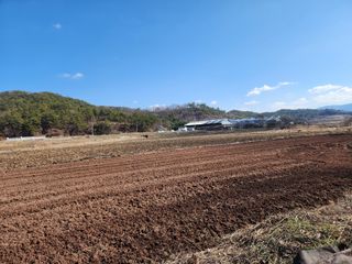 평생학상님의 함께 일하는 동료는 몇명인가요? · 참여글 작성글 사진