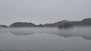 장첸님의 자유주제 · 자유게시판 작성글 사진