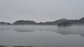 장첸님의 자유주제 · 자유게시판 작성글 사진