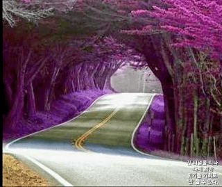 장첸님의 자유주제 · 자유게시판 작성글 사진