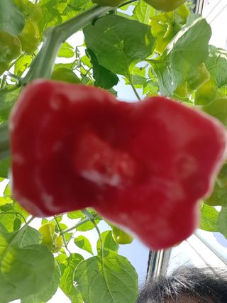 장첸님의 자유주제 · 자유게시판 작성글 사진