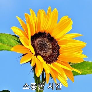 장첸님의 자유주제 · 자유게시판 작성글 사진