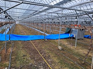 정이오가네농원님의 함께 일하는 동료는 몇명인가요? · 참여글 작성글 사진